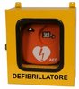 TECA defibrillatore da esterno standard 425x215x480 mm
